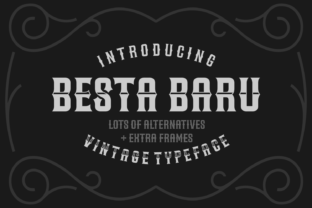 Besta Baru: Elevate Your Brand with Retro Typography