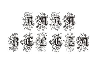 Rara Beleza: Reviving Antiquity for Modern Design Projects
